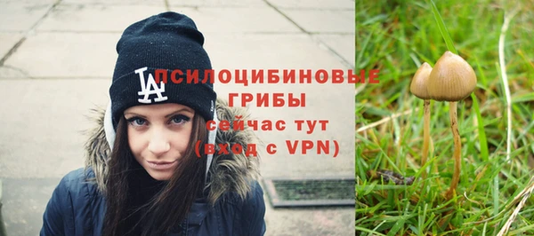 прущая мука Абинск
